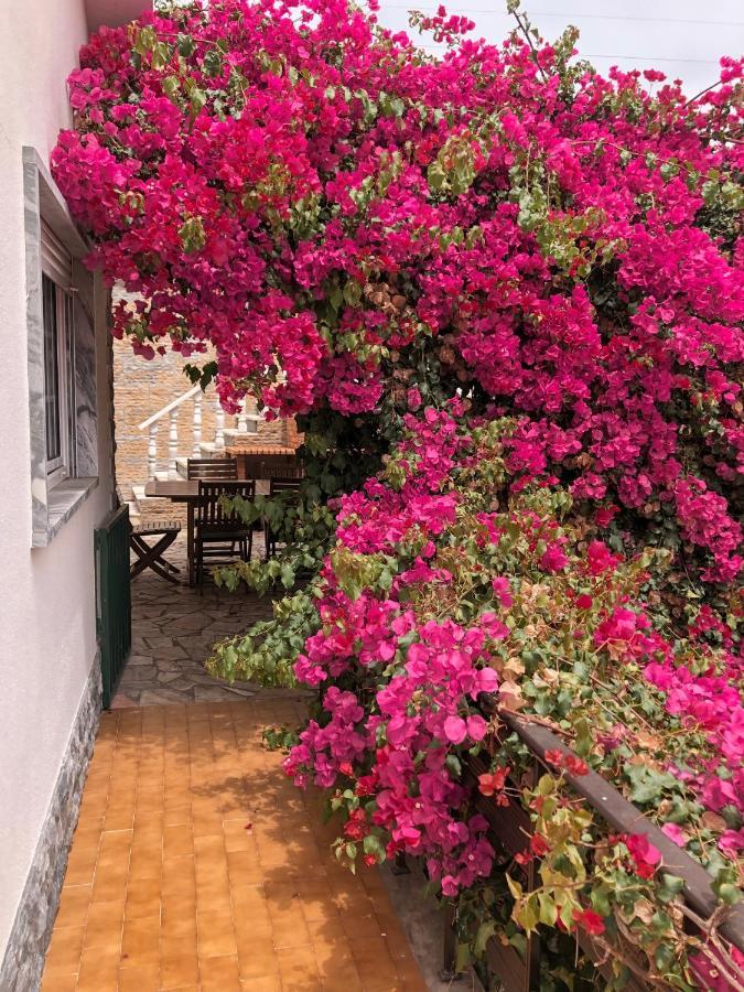 Bed and Breakfast Lagun Santo Isidoro Экстерьер фото